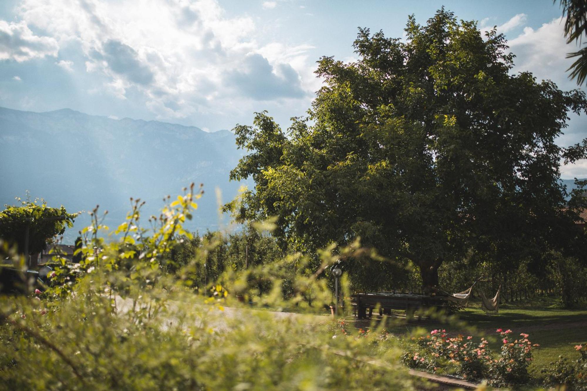 Julias Guesthouse Ora / Auer Zewnętrze zdjęcie